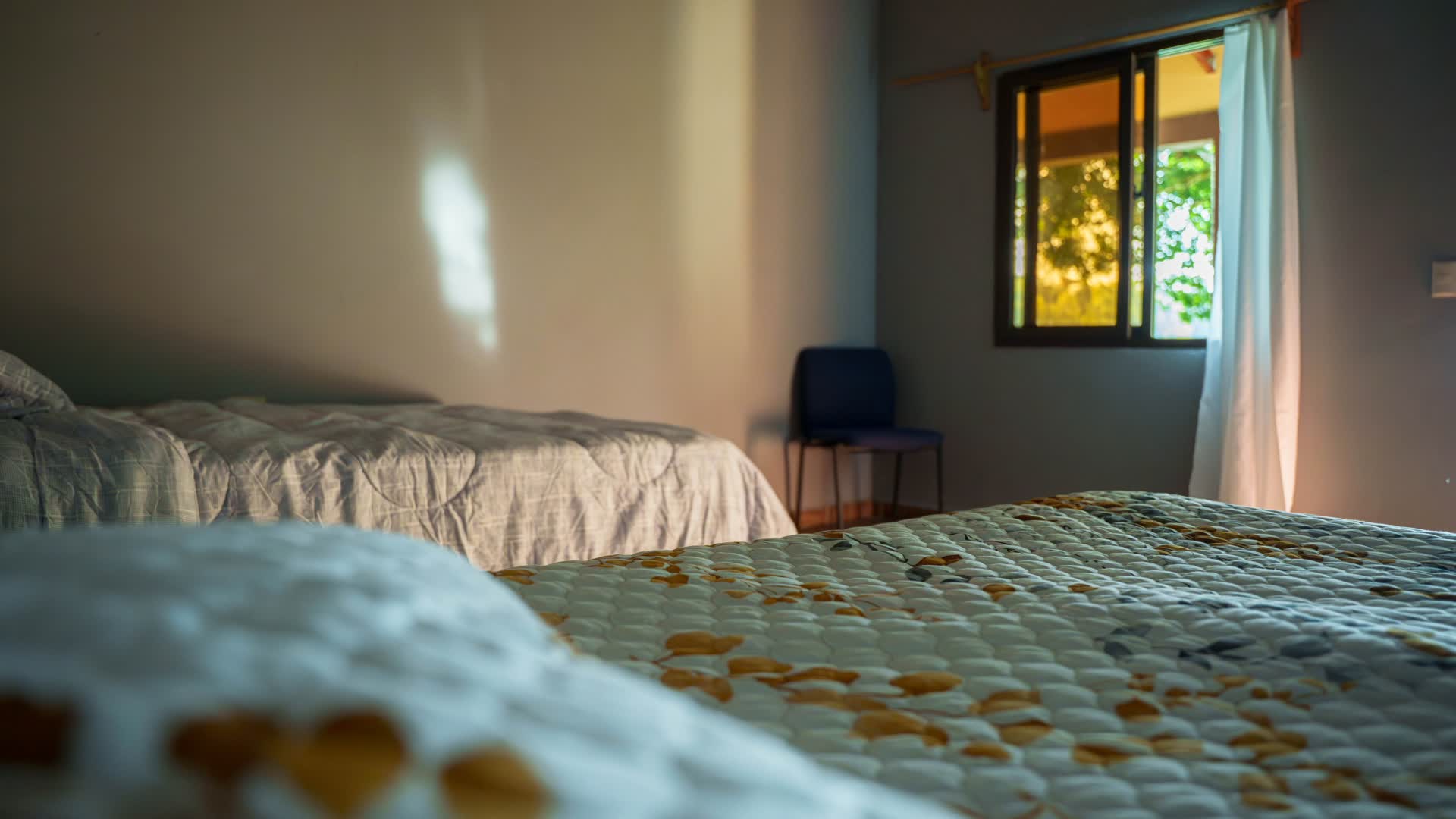 Eco Refugio Las Ventanas del Lago — Photos 33