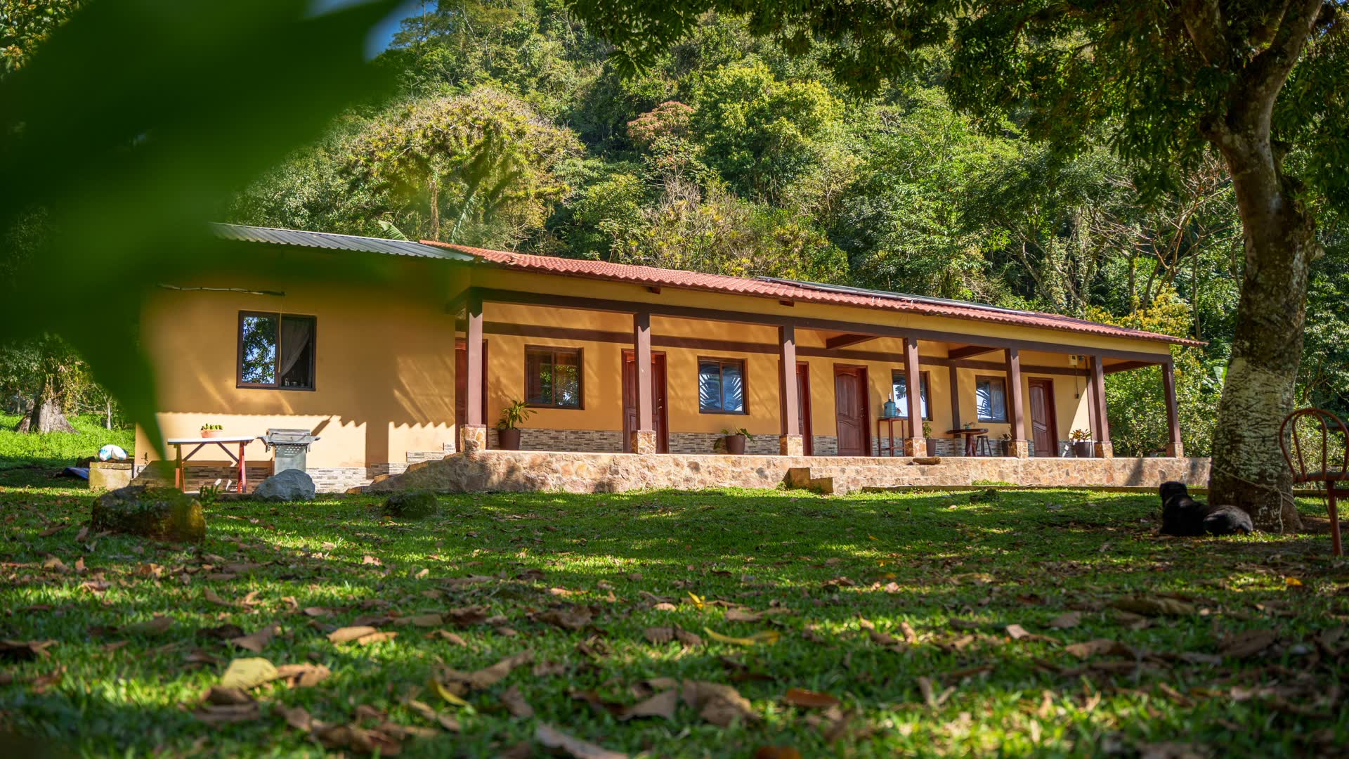 Eco Refugio Las Ventanas del Lago — Photos 21