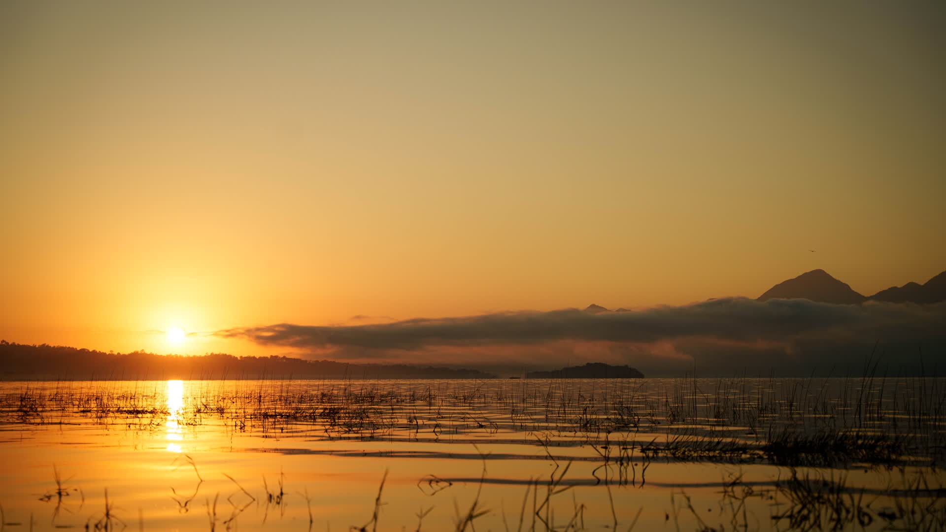 Eco Refugio Las Ventanas del Lago — Photos 13
